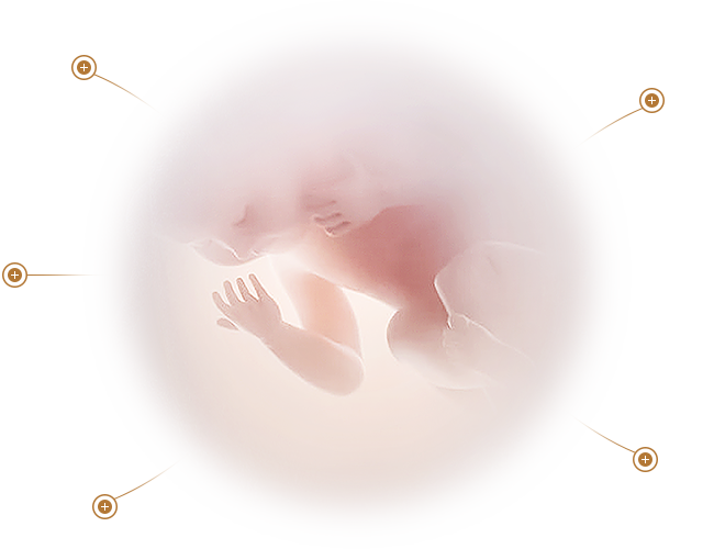 中科聚研干細(xì)胞科技有限公司