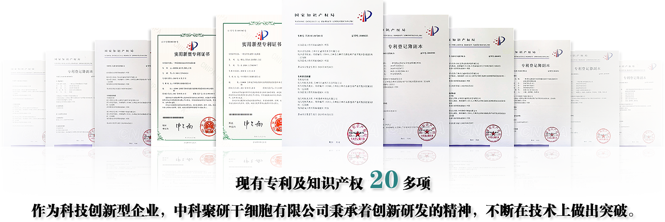 榮譽(yù)資質(zhì)